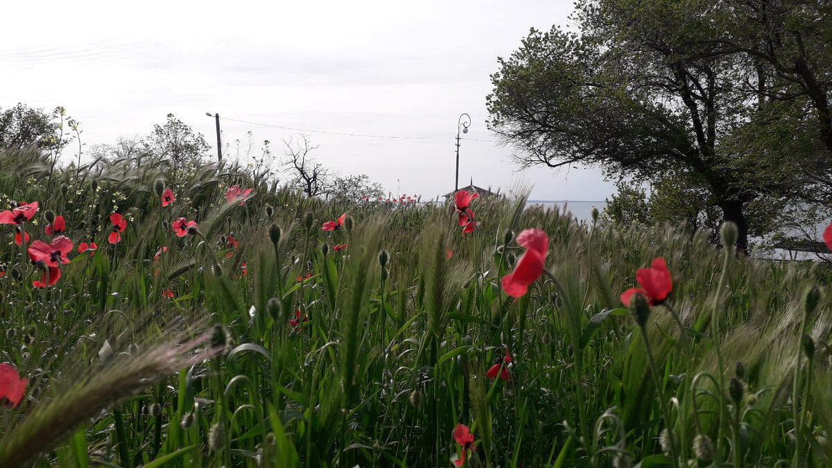 Подходим к Молодежке.