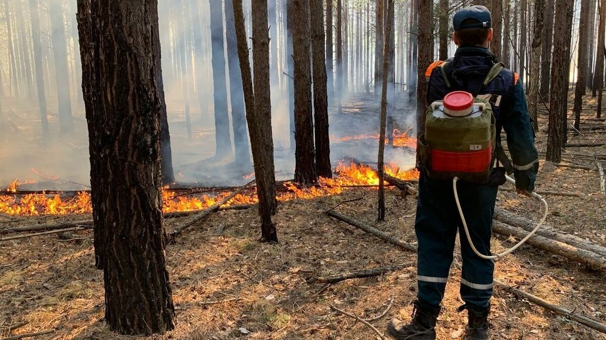     На всей территории Тюменской области введен режим чрезвычайной ситуации в связи с обострившейся пожароопасной обстановкой. Об этом сообщил в срочном обращении к жителям региона губернатор Александр Моор.
