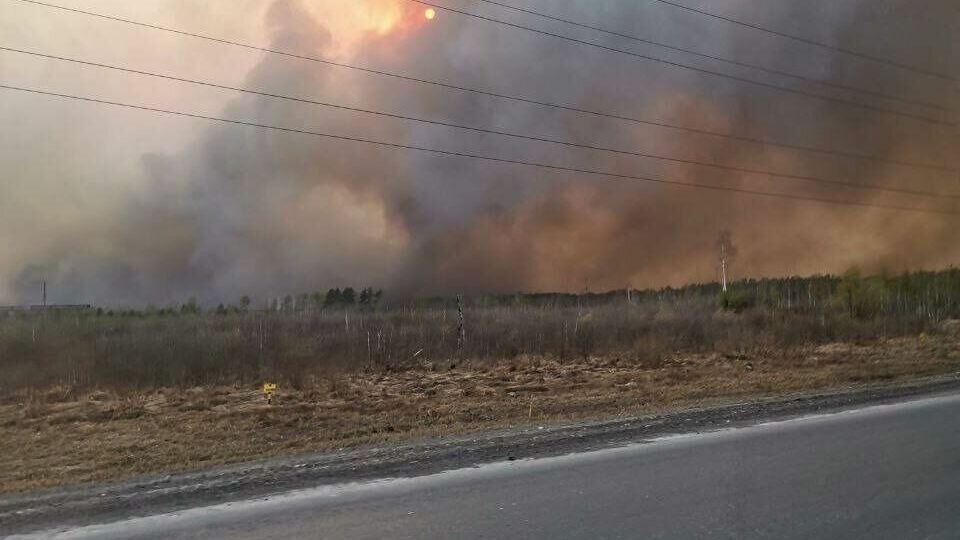 Лесные пожары в Тюменской области 2023. Пожар в Тюмени. Лесные пожары в Тюменской области. Город горит. Где сгорел город