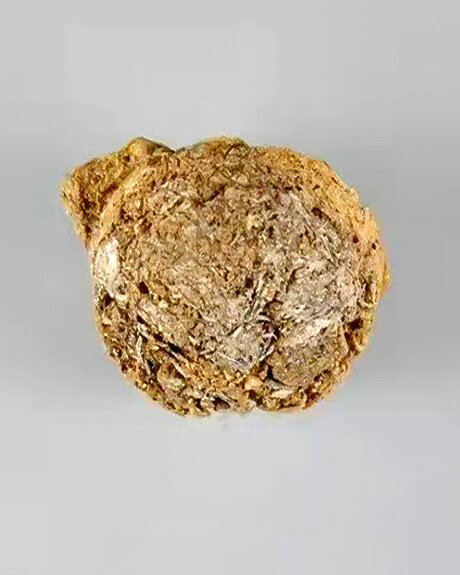 Остатки самой древней в мире заварки: этот чай пили между 453 и 410 годами до нашей эрыФото: © Shandong University