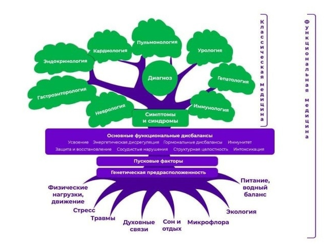 Дерево здоровья 