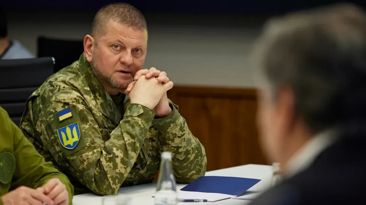 Валерий Залужный. Фото: Ukrainian Presidential Press Service / Handout / Reuters