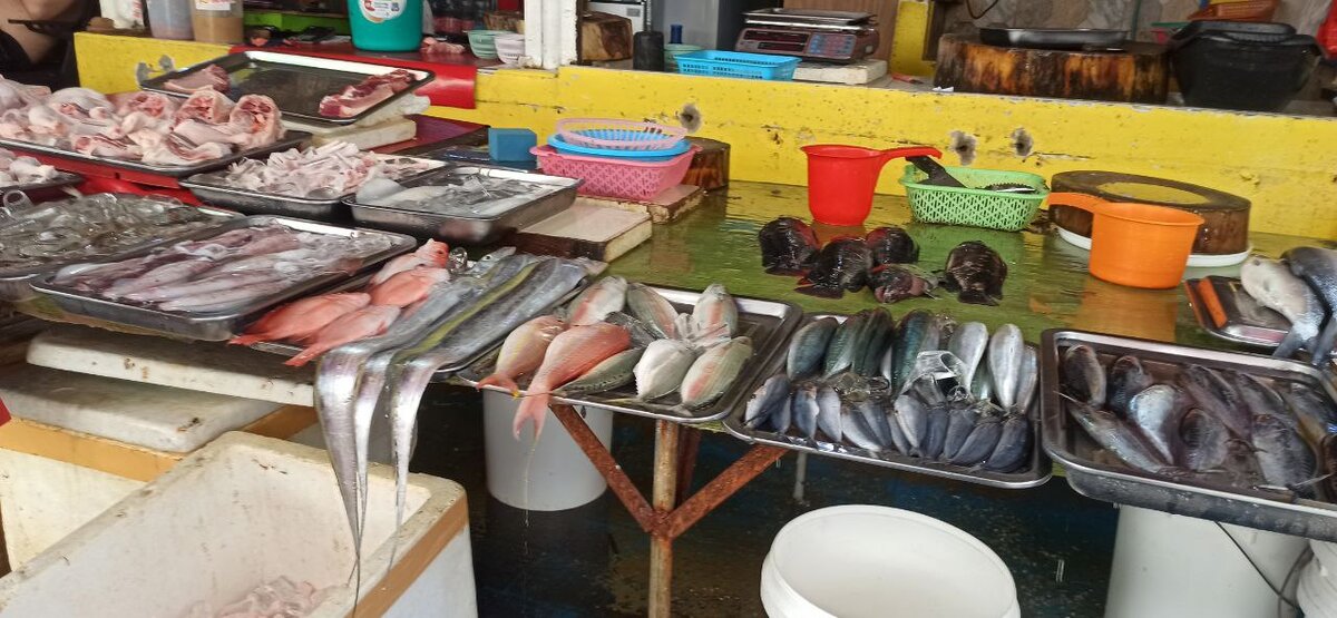 Есть свежая рыба и морепродукты, правда от лосося только животики