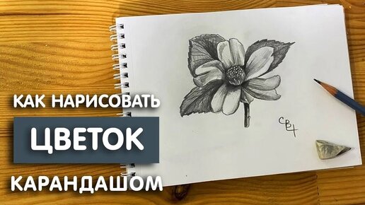 Как нарисовать цветок простым карандашом | Рисунок для начинающих легко и поэтапно