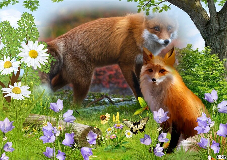 Коллаж автора