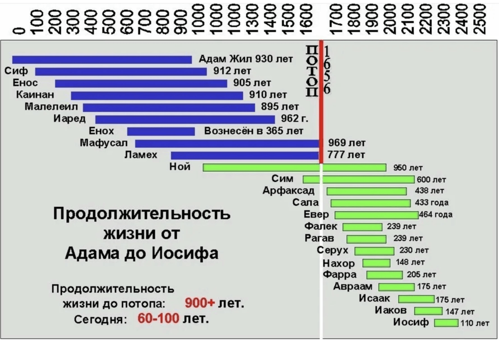 Кто больше всего прожил на земле. Продолжительность жизни от Адама до Иосифа. Таблица от Адама до ноя. Продолжительность жизней в Библии. График продолжительности жизни до потопа.