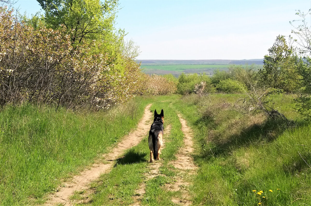 Фото автора