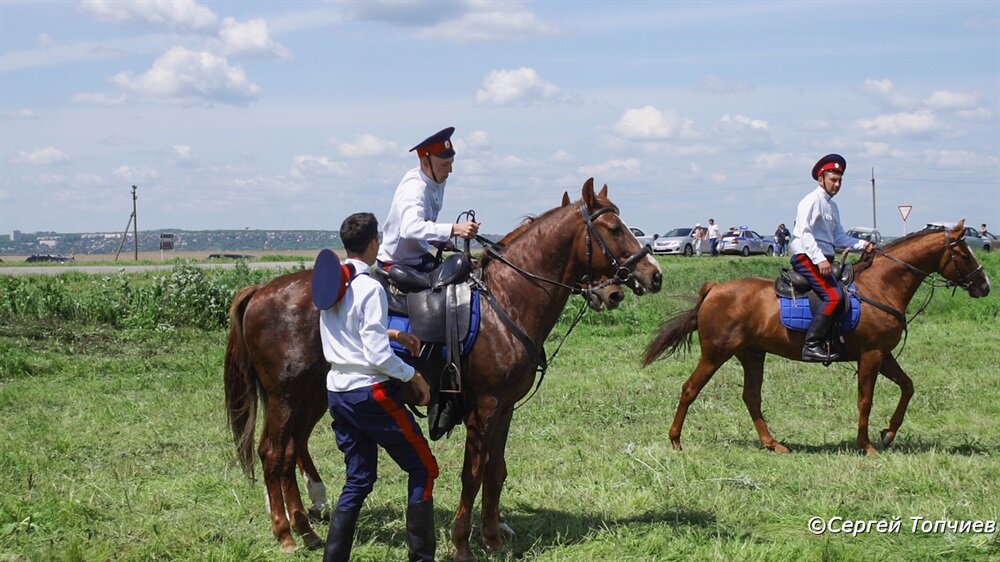 Лихие казаки