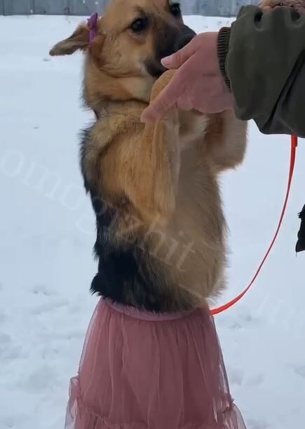 -2