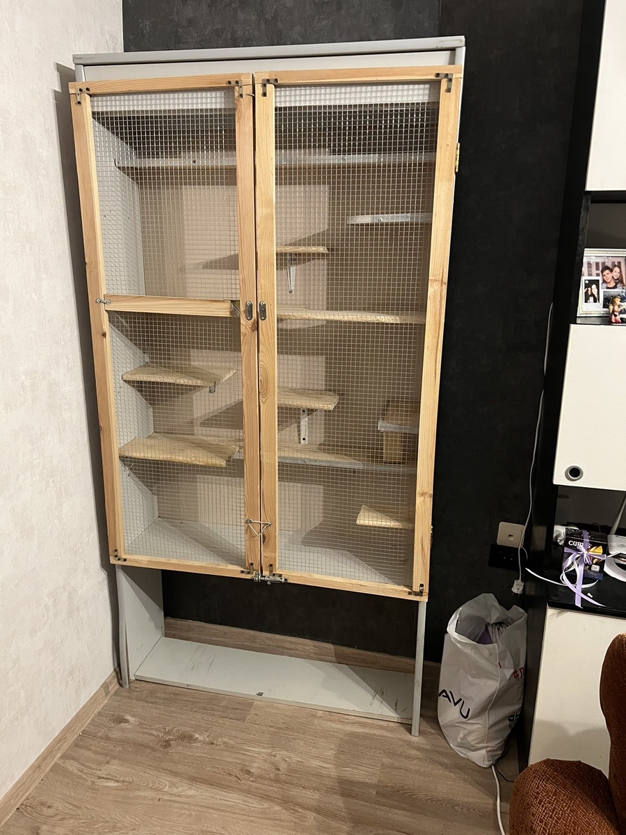 Новый пентхаус 