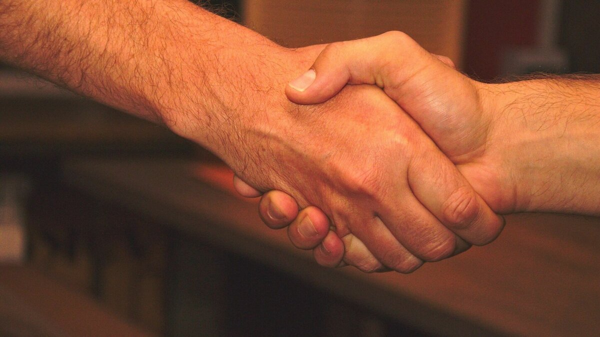     Специалисты нижегородского государственного университета имени Лобачевского примут участие в реабилитации участников боевых действий на Донбассе. Об этом сообщает «КоммерсантЪ».