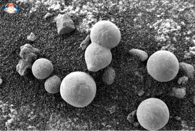 Марсианские дождевики 
