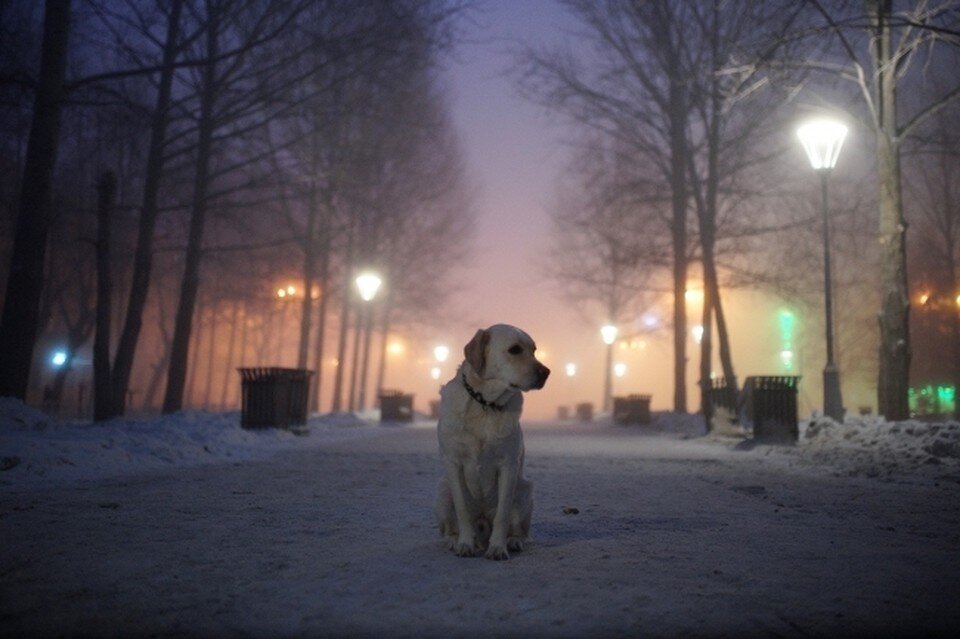     одителям рекомендуют воздержаться от поездок на дальние расстояния Алексей БУЛАТОВ