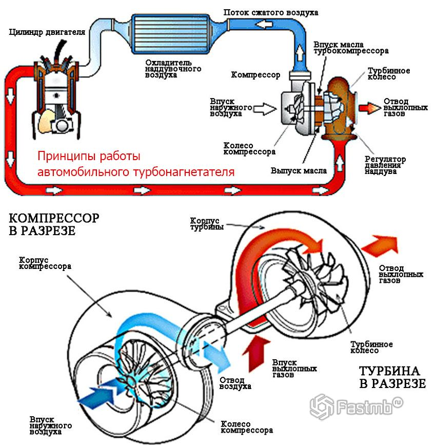 Car Engine Parts Labeled