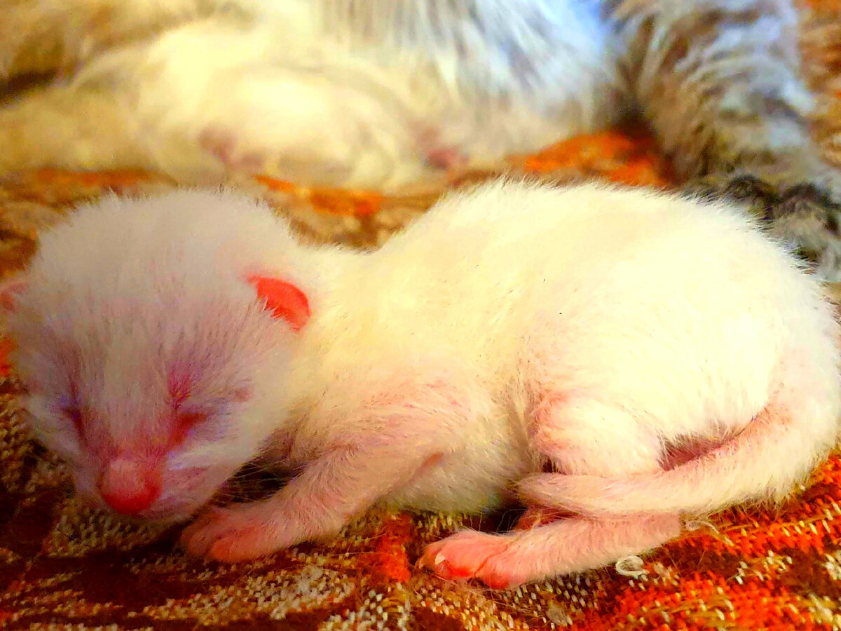 фото малыша.