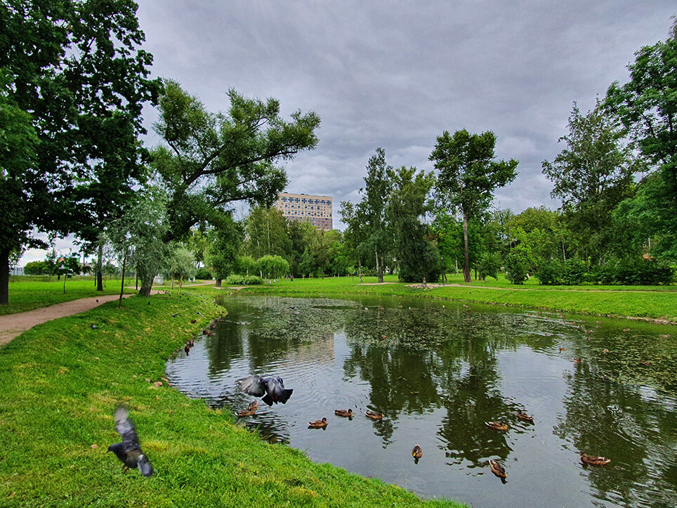 Куракина дача парк фото