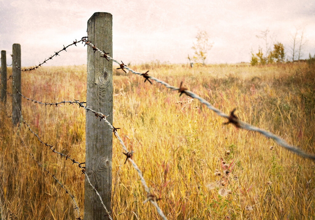 Изображение из открытых источников.