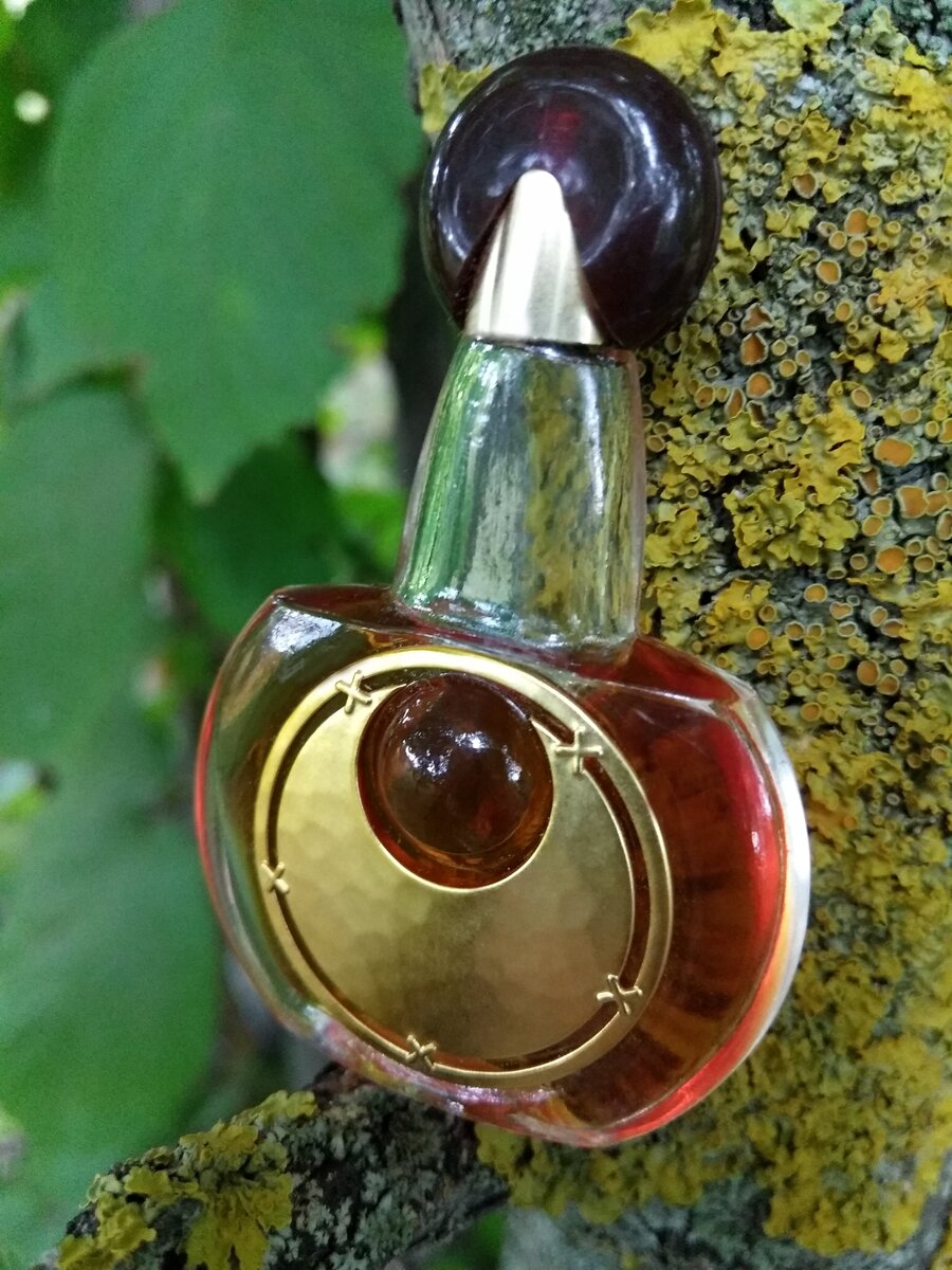 Фото: канал Гид Парфюм.