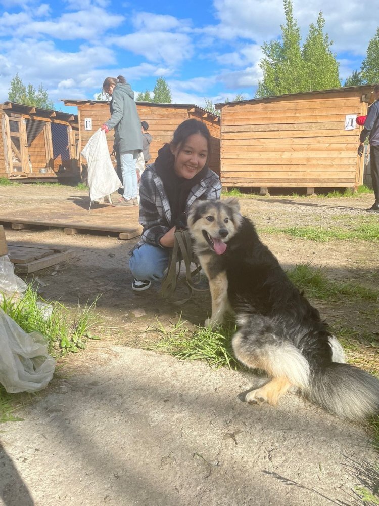    Собакам нужен хозяин