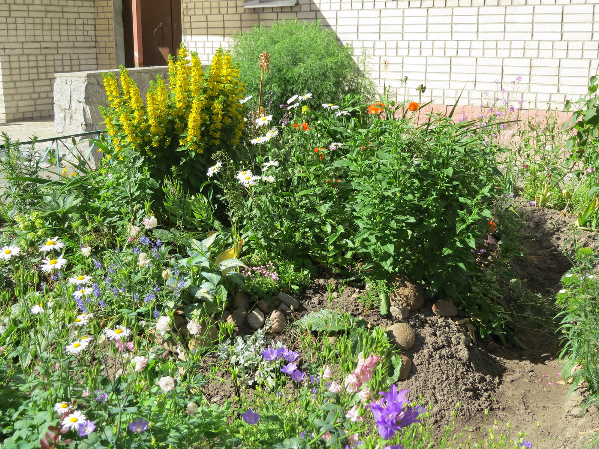 25.06.2022. Как поперли то!