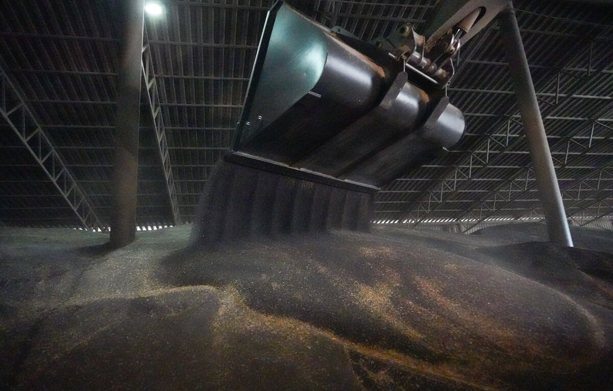 Андрей Рубцов/ТАСС