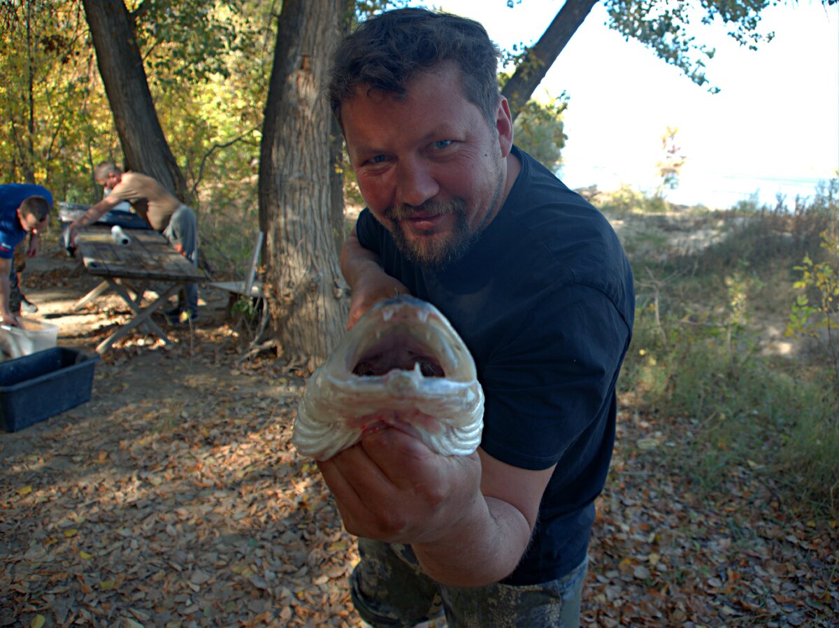 клыкастый трофей