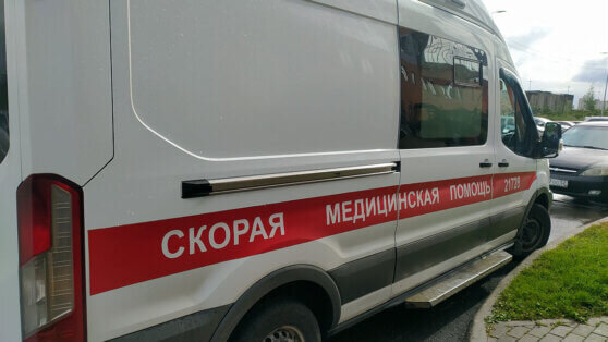    В Крыму автомобиль сбил семью из пяти человек, включая трех детей Анна Белая