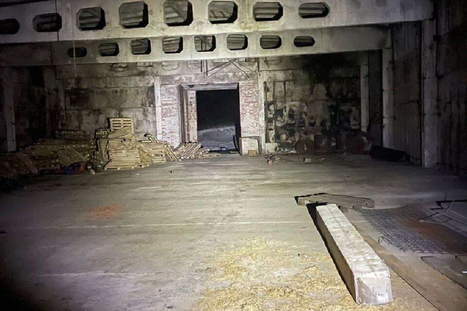     Помещение склада не было огорожено и не охранялось. ФОТО: Прокуратура Ленинградской области