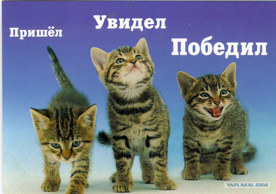Изображение взято в интернете