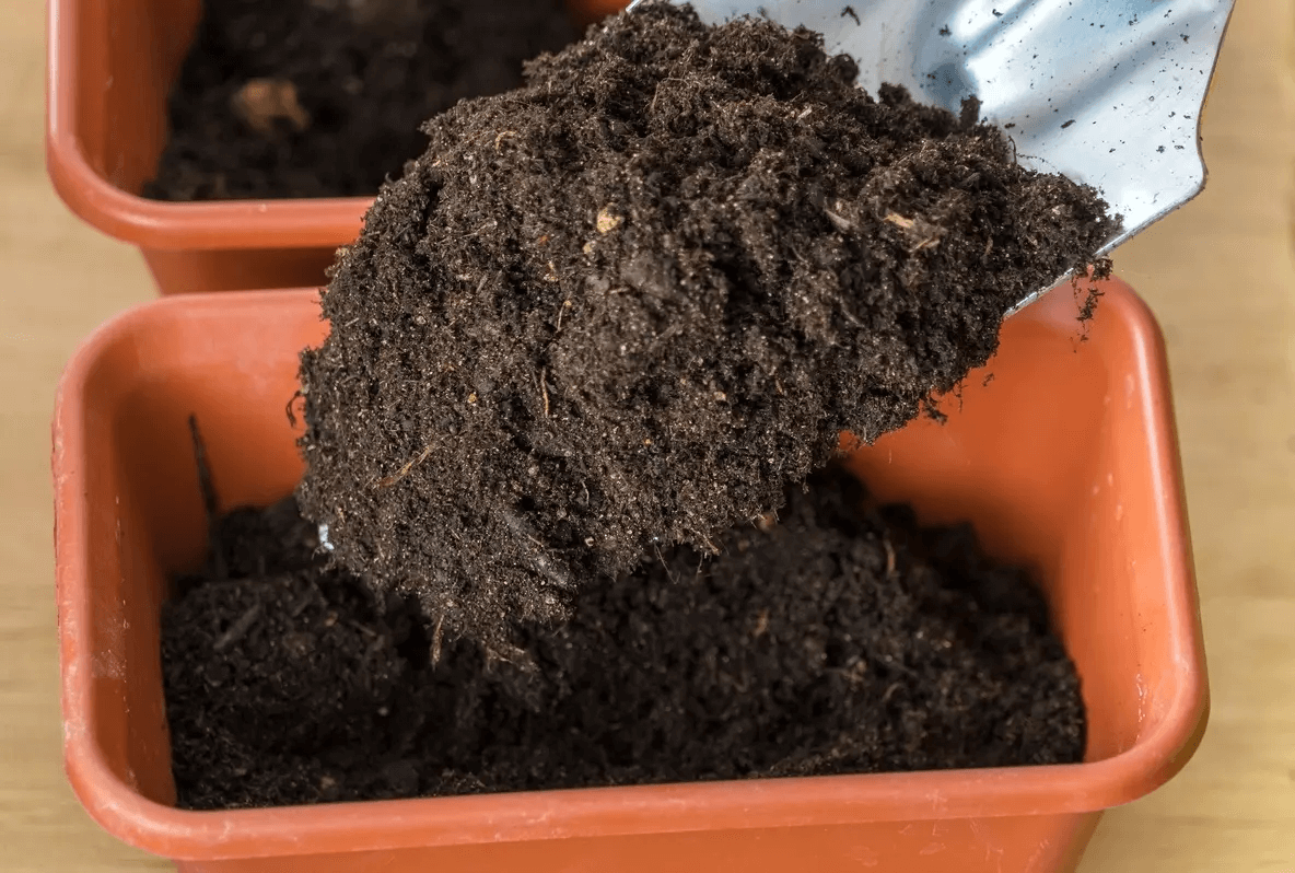 Подготовка грунта