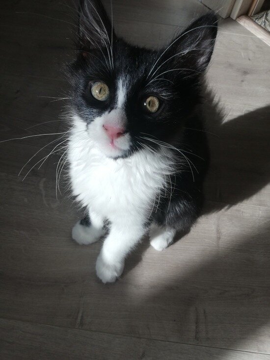     Фото: илья котов