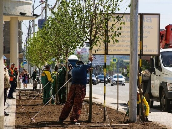     Фото: Густаво Зырянов / Сиб.фм