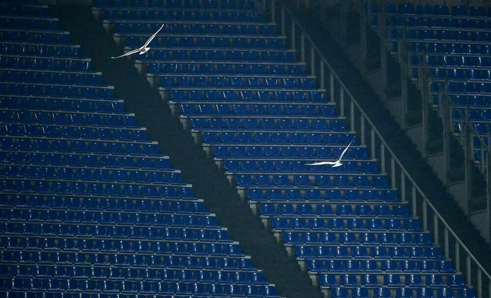    Фото: EPA / VOSTOCK Photo