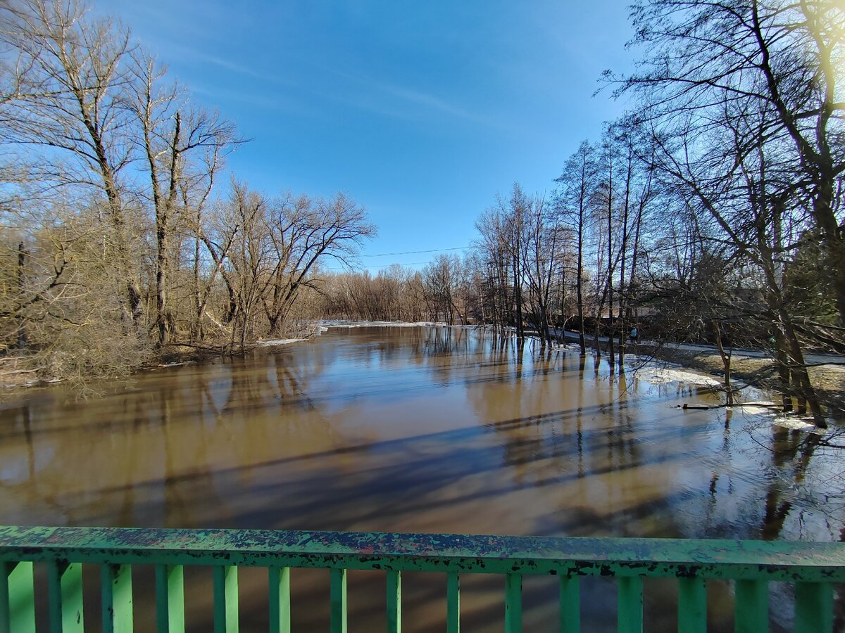Вода в реке воронеж сегодня. Река Лесной Воронеж. Река Лесной Воронеж в Мичуринске. Мичуринск река Лесной Воронеж фото. Река песчаный Лог Воронеж