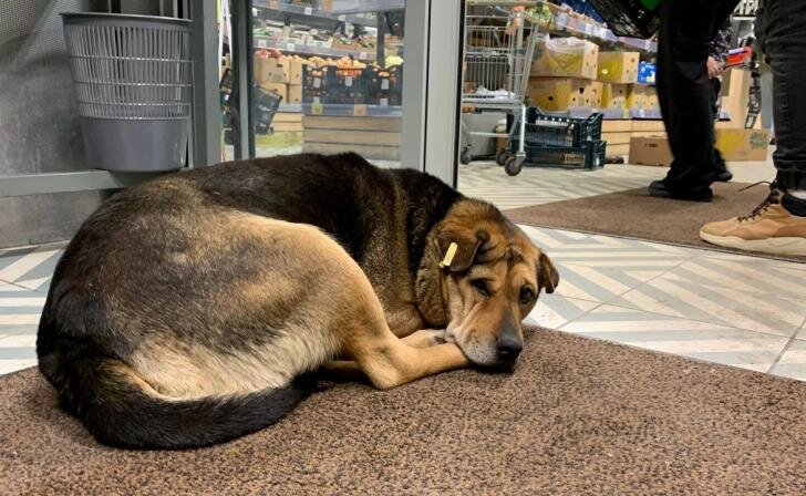    фото Юрий Еськов/Курские известия