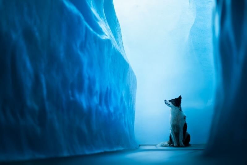      фото Одри Белло