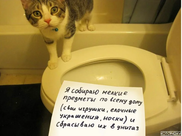 Добавьте описание