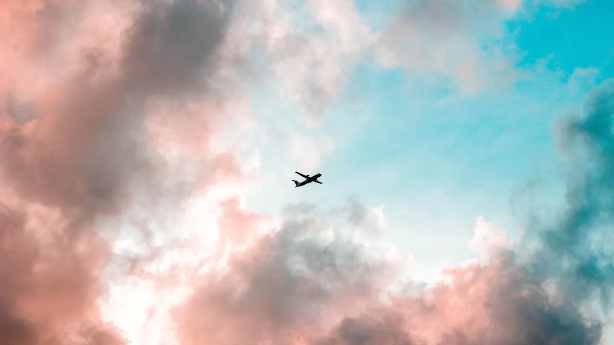Фото: Pexels.com