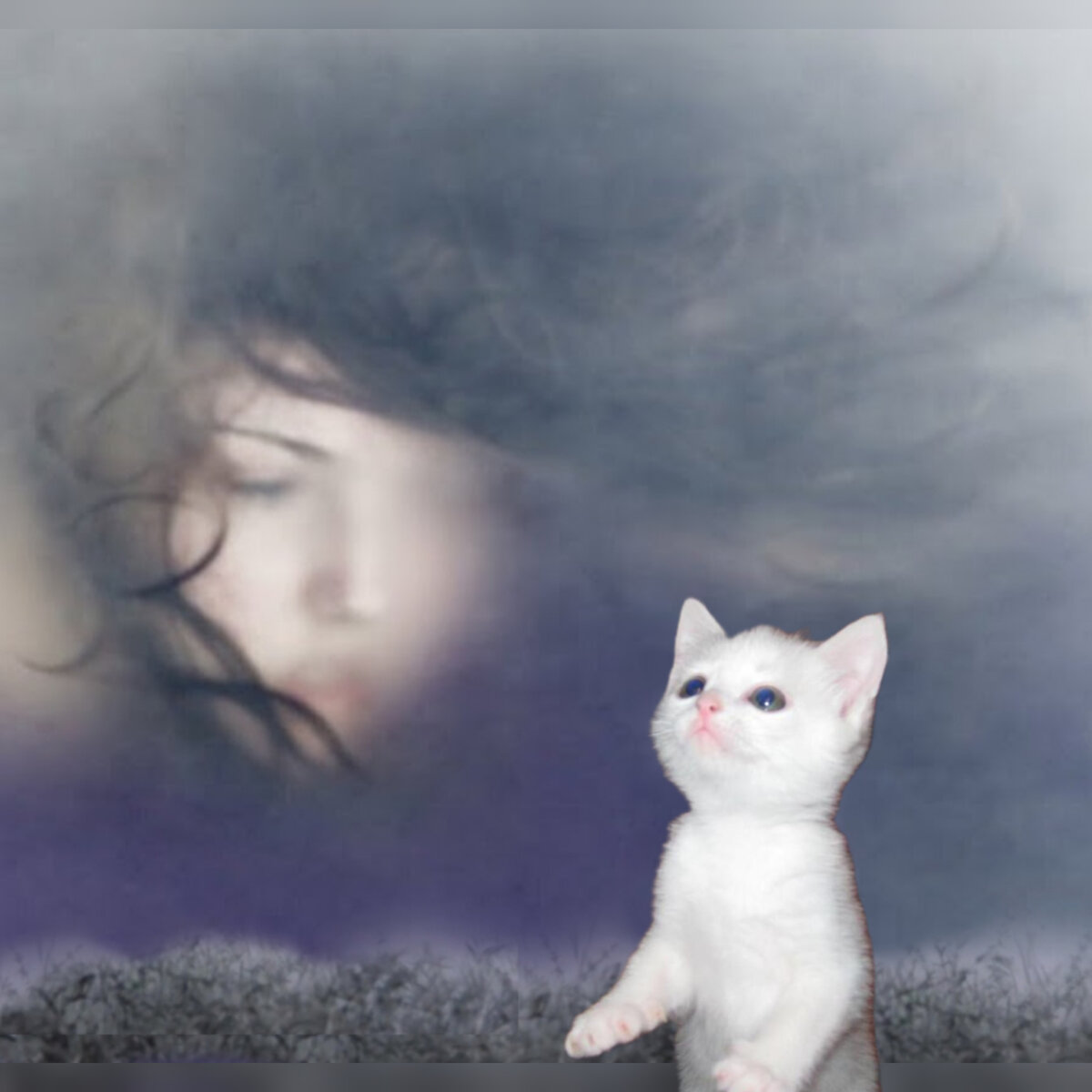 Коллаж автора. Оно смотрело и моргало сквозь пелену... 