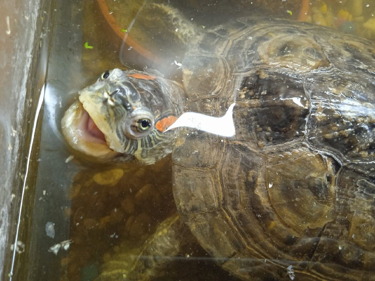 Людка недовольна ожиданием.