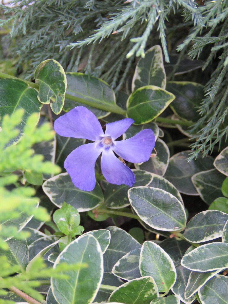 фото в гостях 