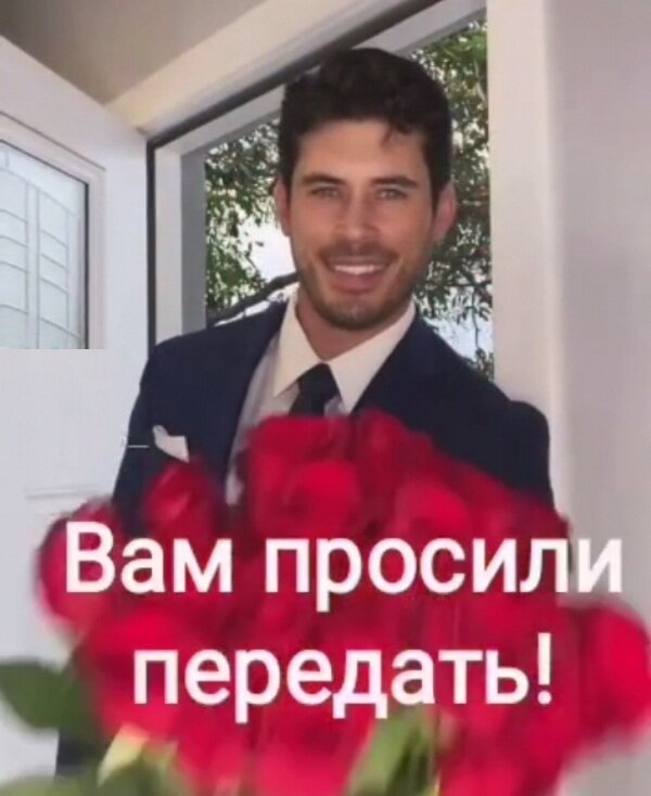 Фото из Интернета.))