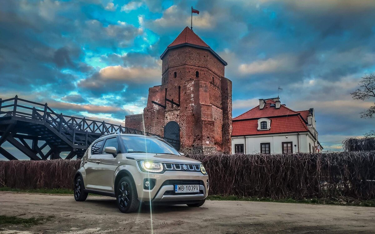      Suzuki Ignis