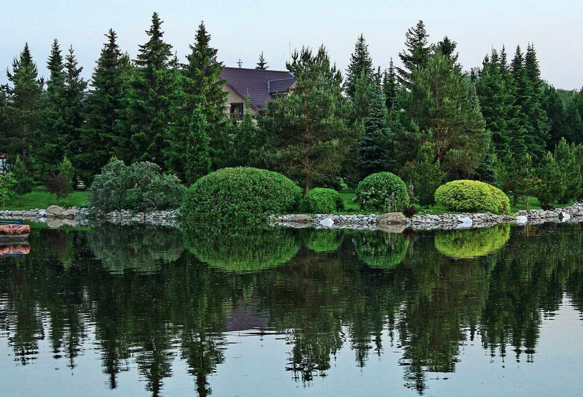    Деревья и кустарники — живые!