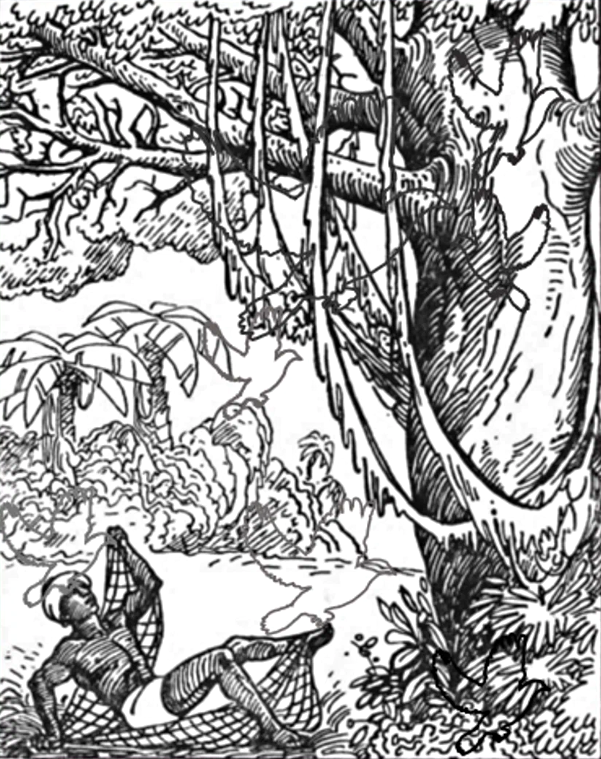 Быстрый тест, который покажет уровень вашей наблюдательности | Правила ...