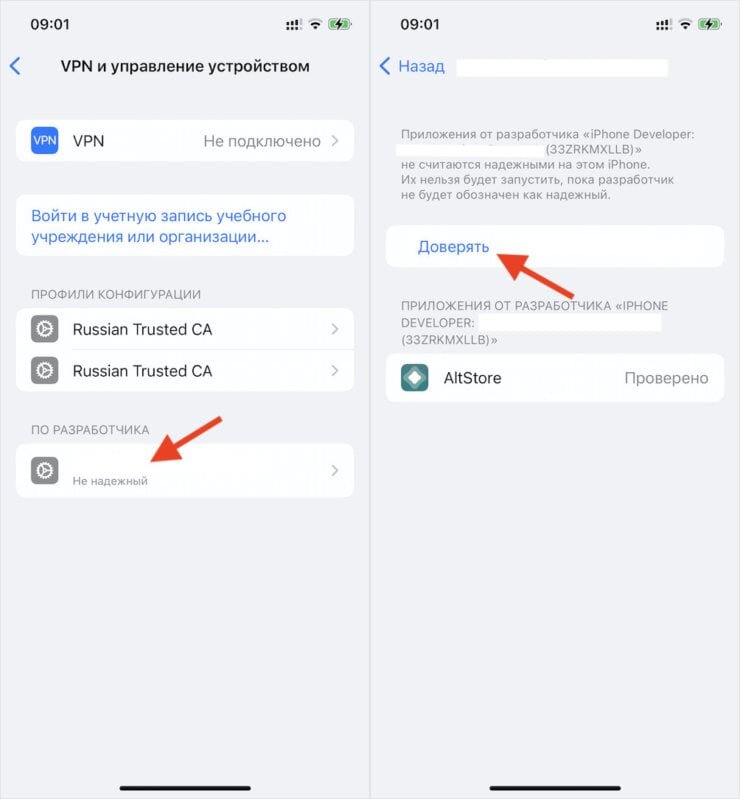 Альтстор режим разработчика