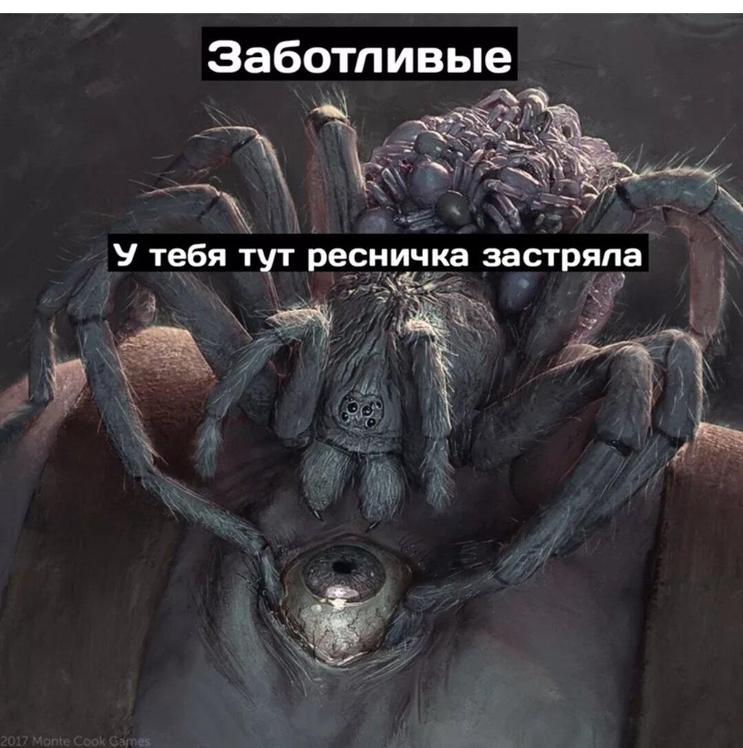 паук в кровати сон