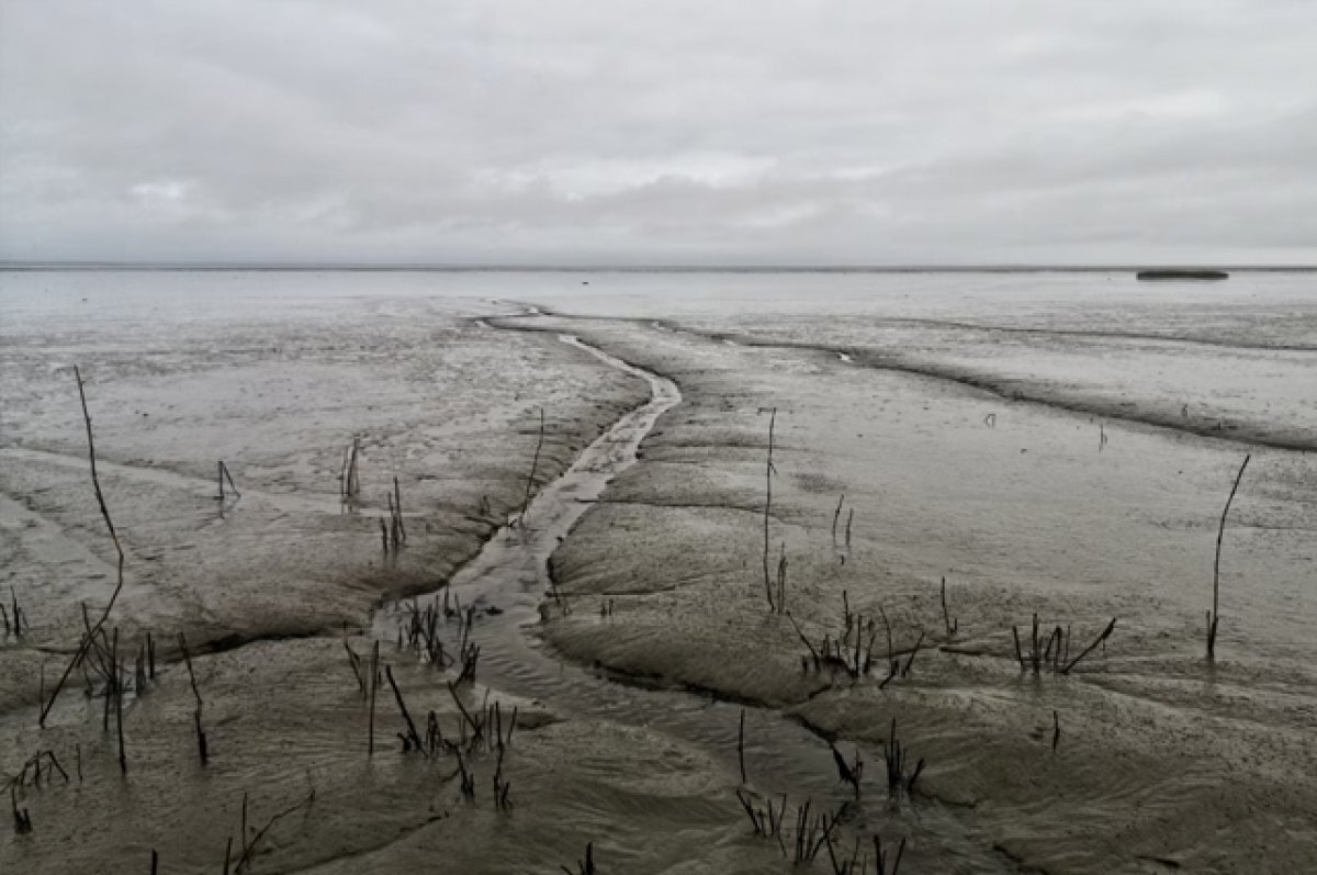    Видео: Беспилотники МЧС наблюдают за паводком в Оренбуржье.