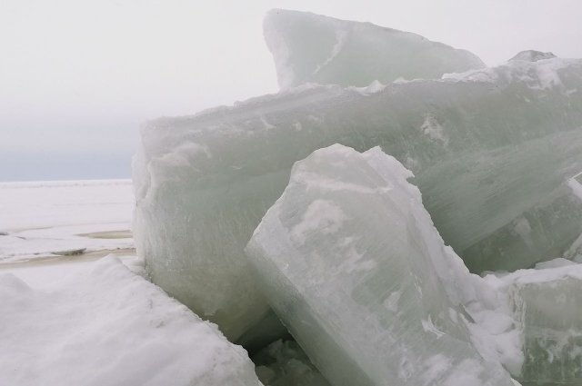 Фото: Сергей Хорошавин / АиФ