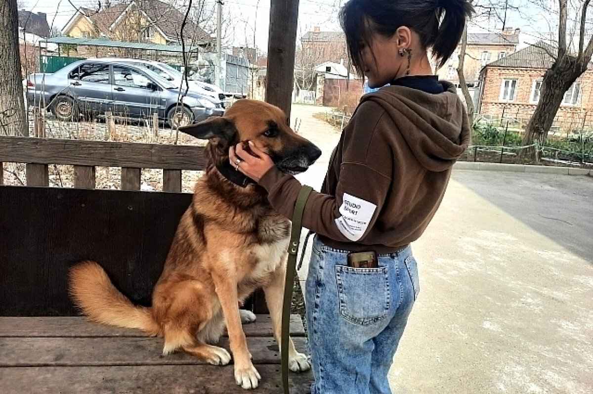    Юлия и Самур.